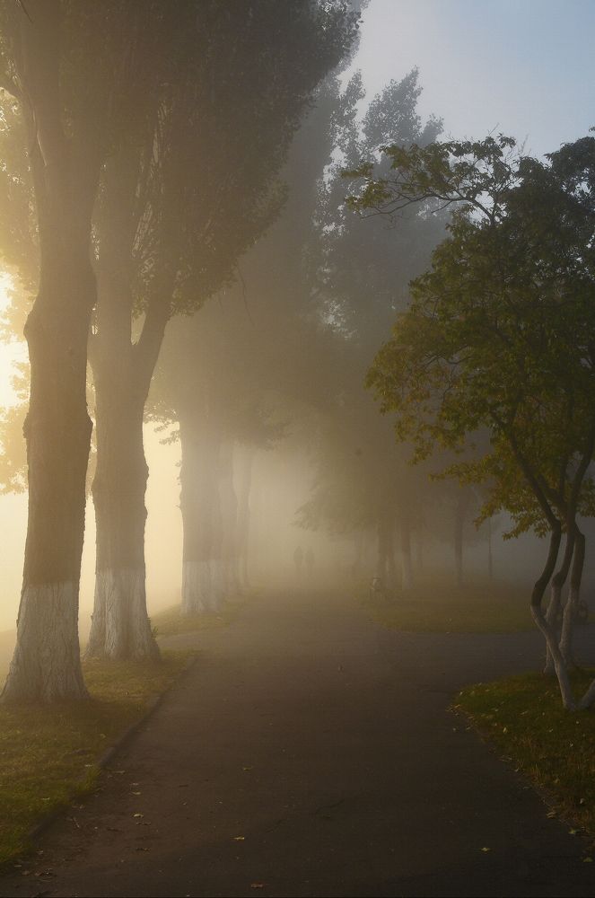Photograph by Евгений Ковальчук