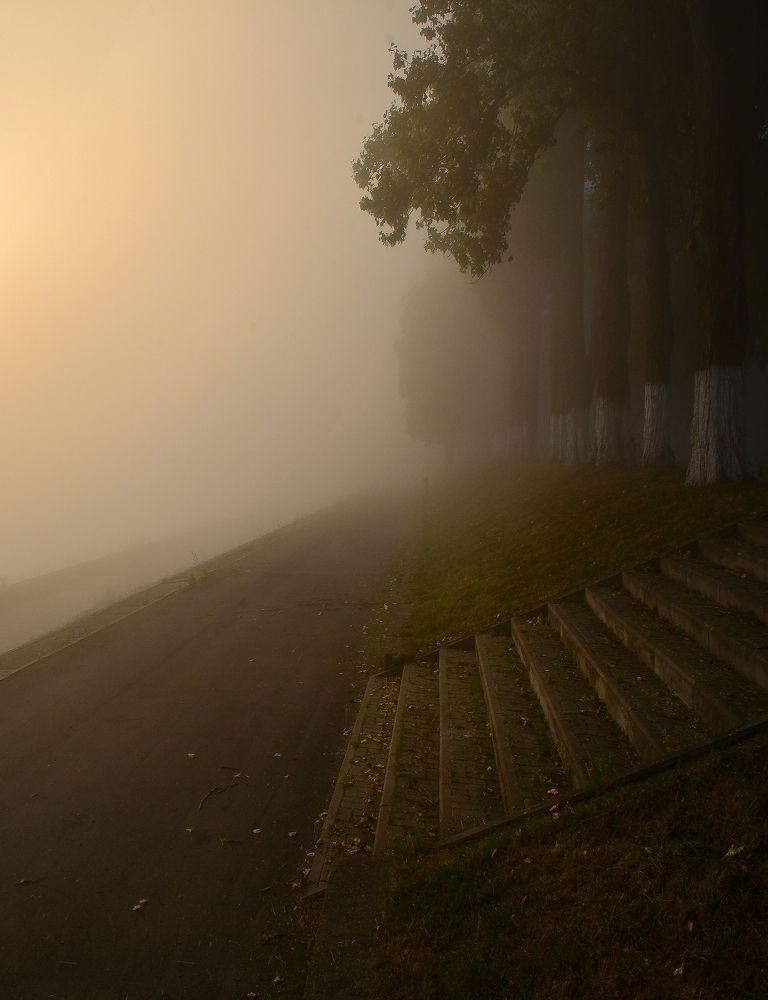 Photograph by Евгений Ковальчук