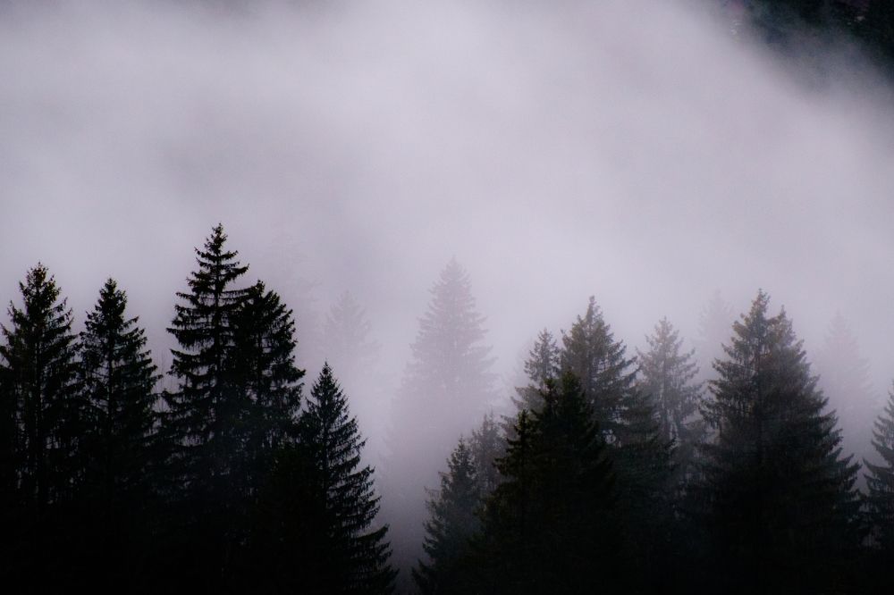 Фотография автора Yari Copt