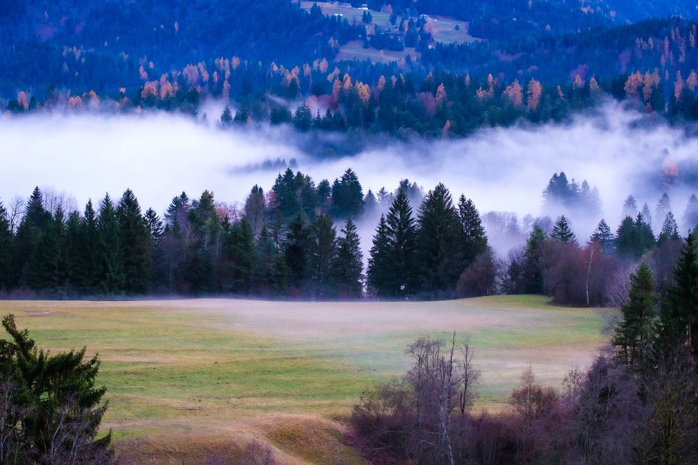 Фотография автора Yari Copt