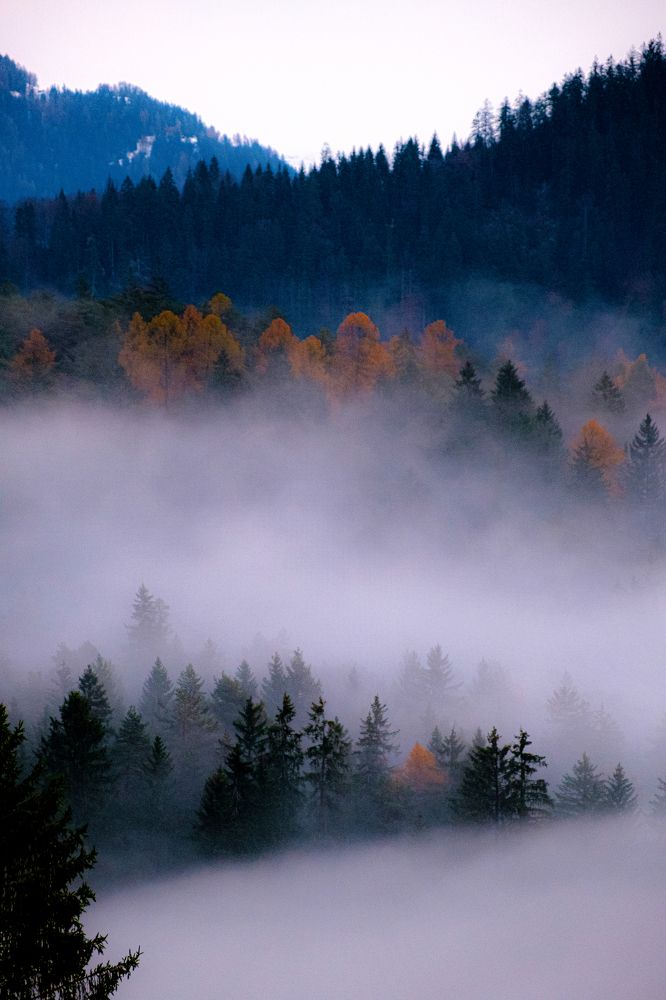 Фотография автора Yari Copt