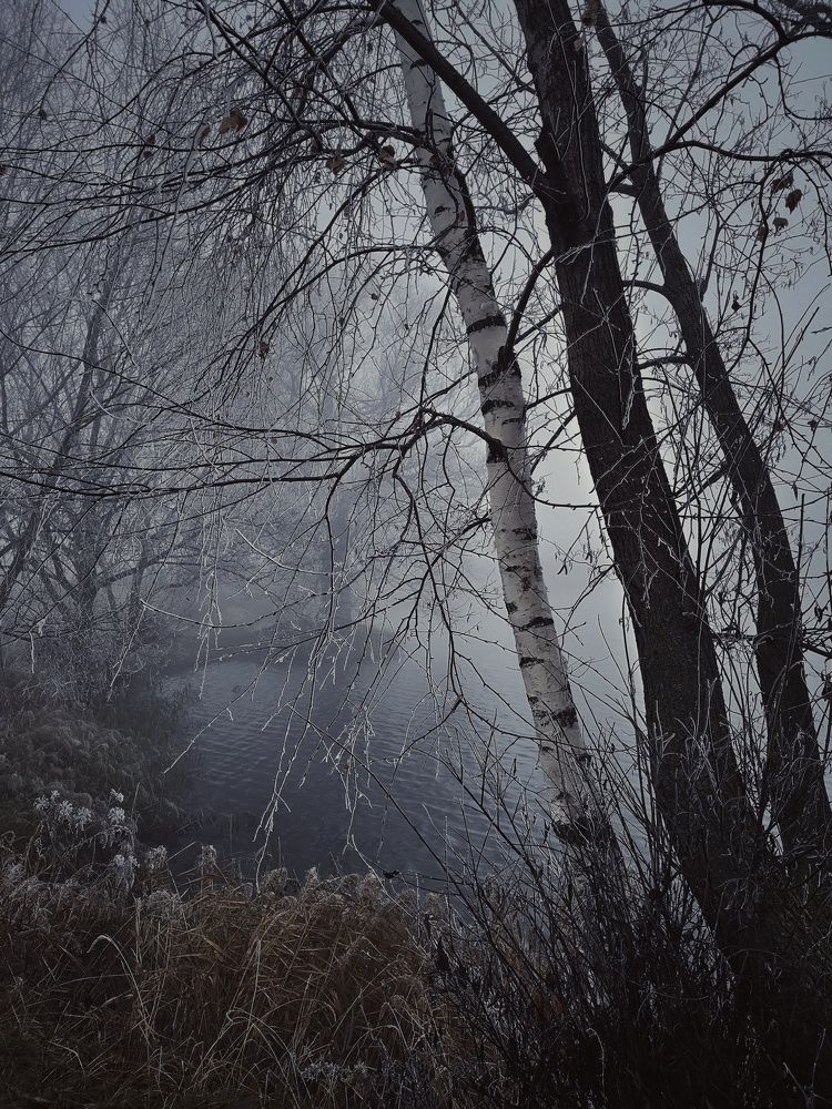 Photograph by Ирина Коновалова