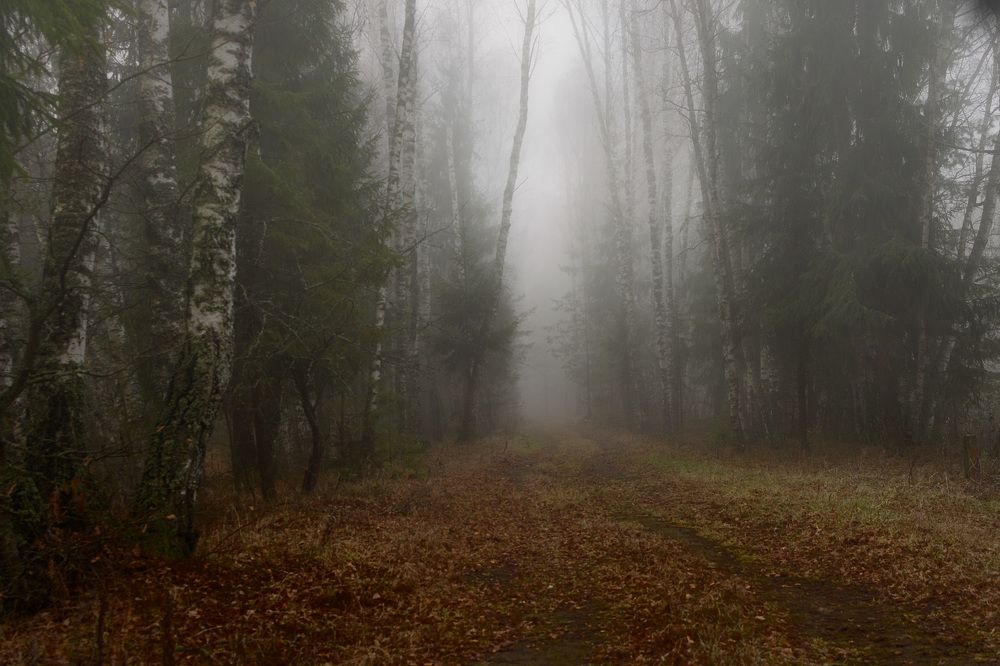 Photograph by Дементьев Владимир