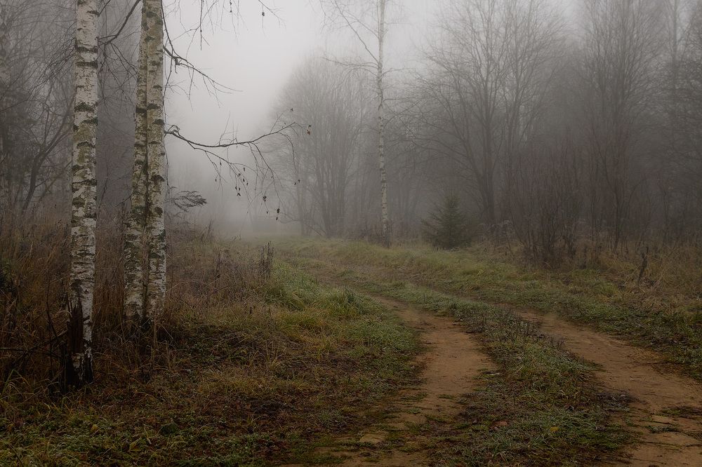 Photograph by Дементьев Владимир