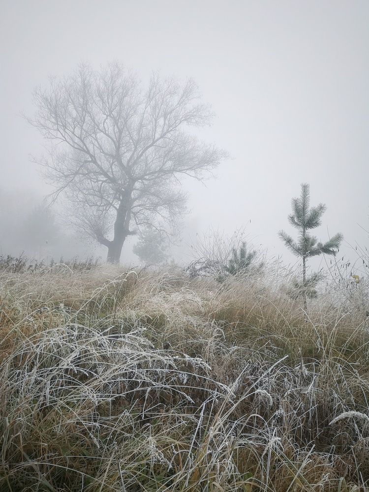 Photograph by Ирина Коновалова