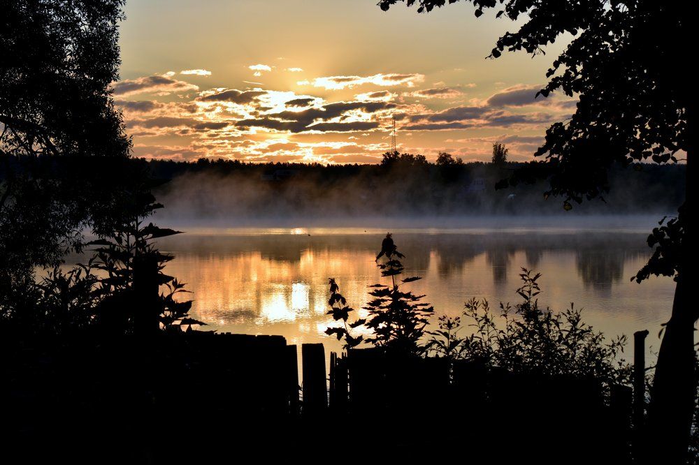 Золотой рассвет за калиткой / Golden sunrise behind the gate