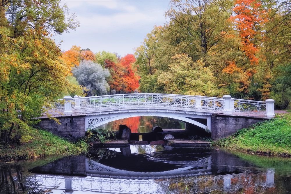 Photograph by Игорь Майоров