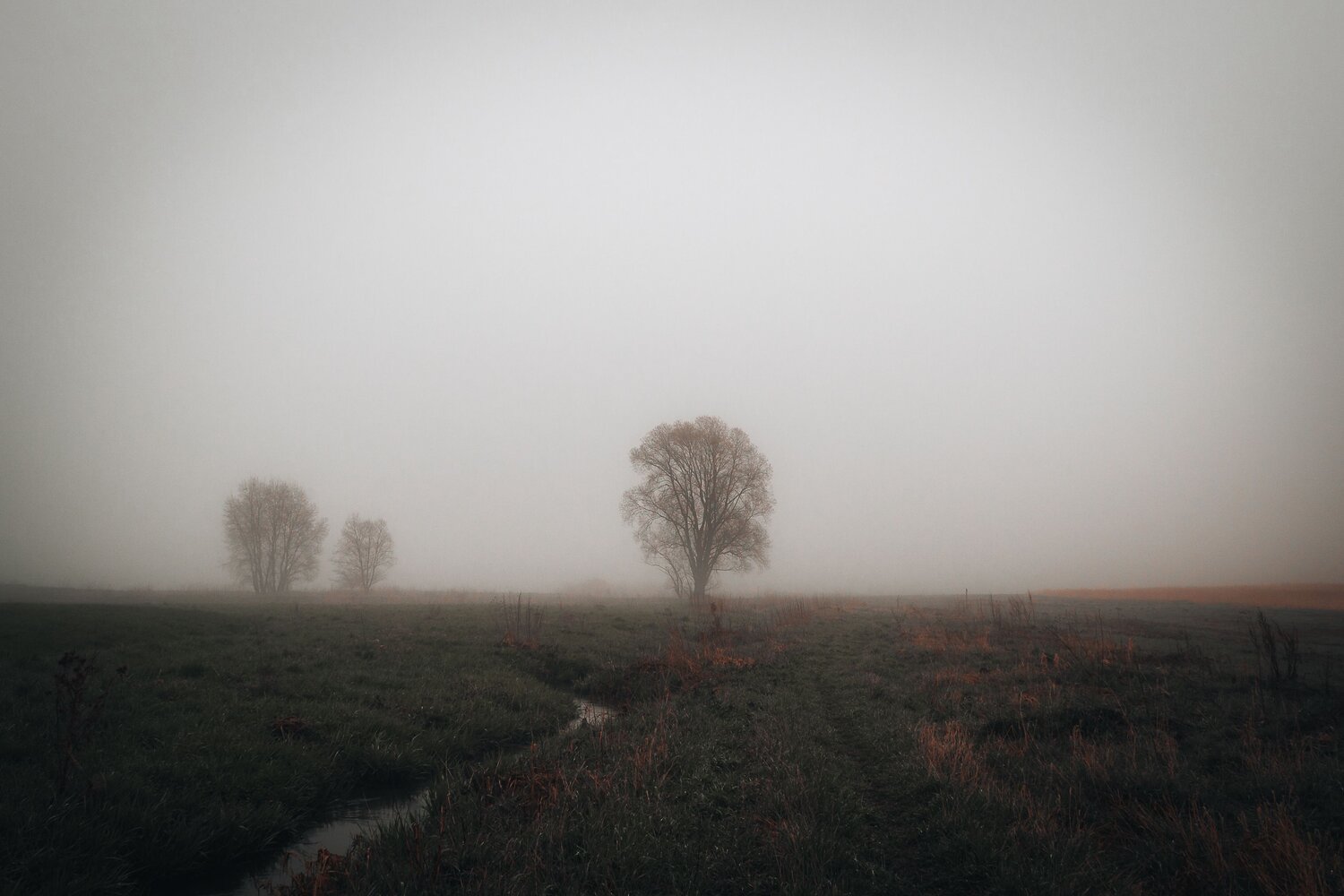 Photo #6785051