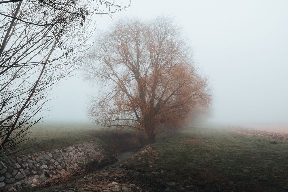 Photo #6785053