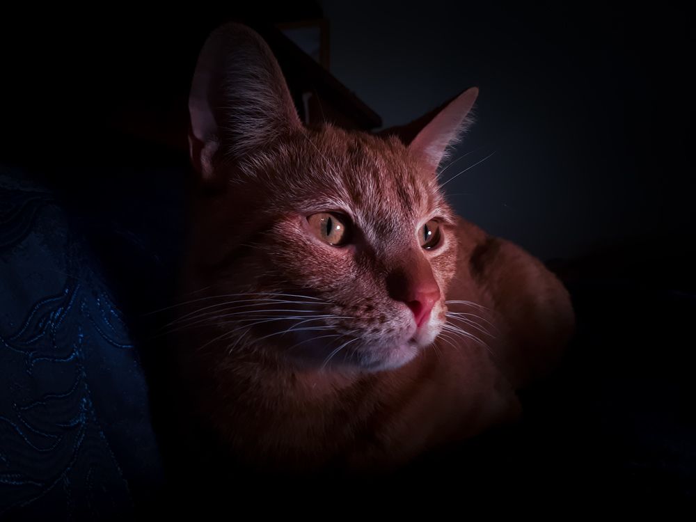 Photograph by Darya Вега