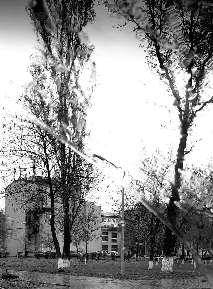 Photograph by Людмила