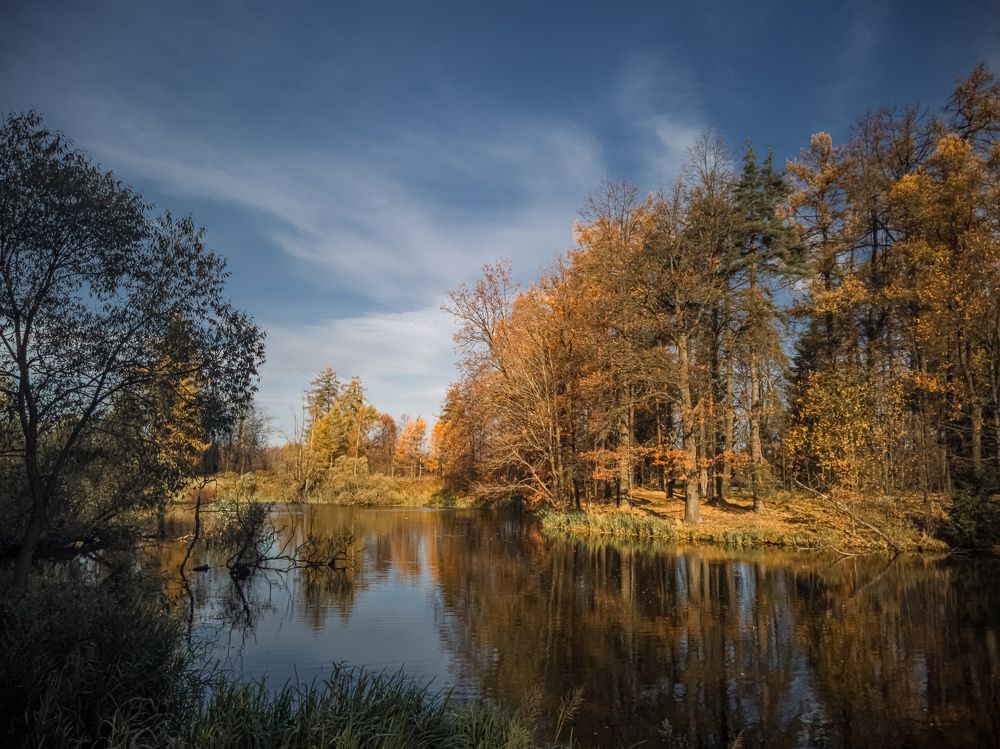 Photograph by Александр Безуглый