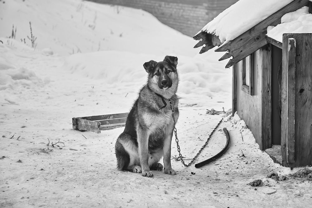 Photograph by Олег Архипов