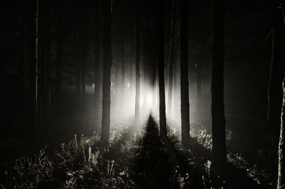 Photograph by Александр Мольков