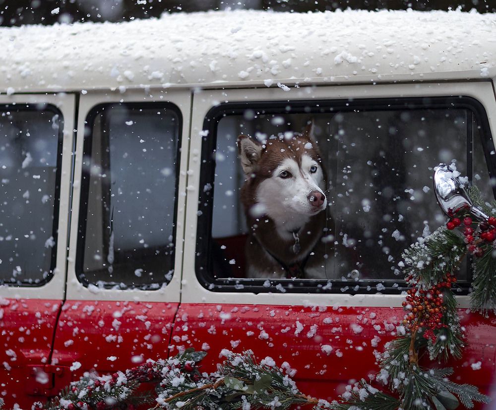 Сказочное путешествие