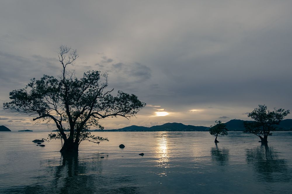 Photograph by Andrei Iemelianov