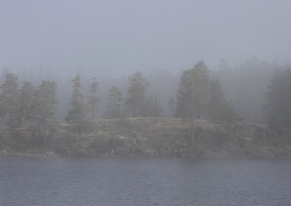 Photograph by Андрей Семенников