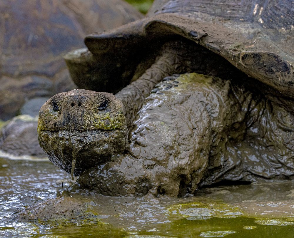 Фотография автора andrey gagarin
