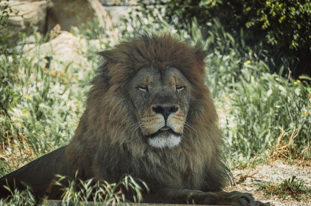 Photograph by Ксения Хачатурова