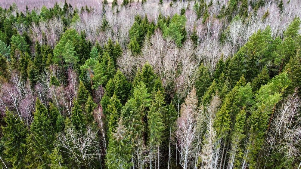 Photograph by Михаил Серебренников