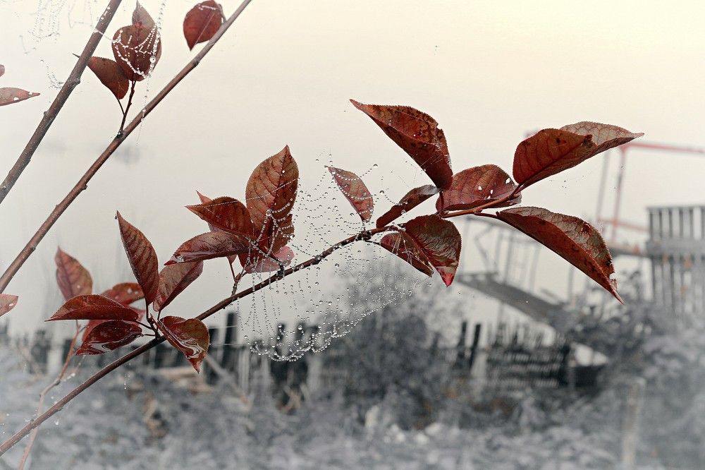 Фотография автора Марина Горбулина