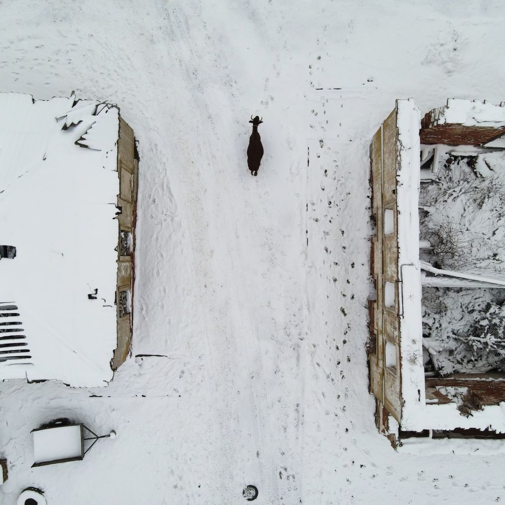 Photograph by Никита