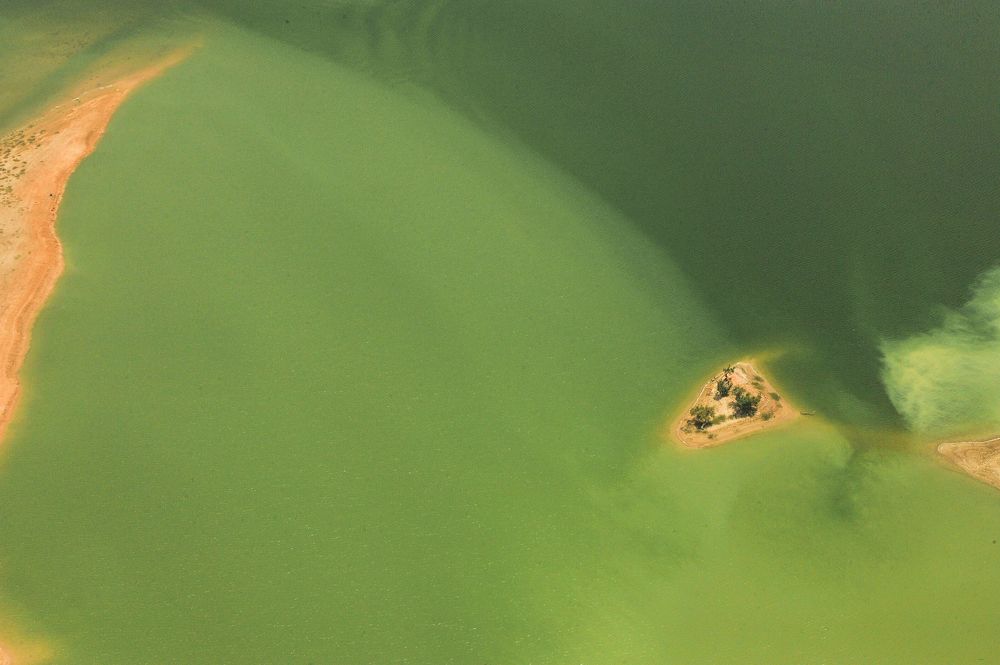 Photograph by Mohamed Kaouche