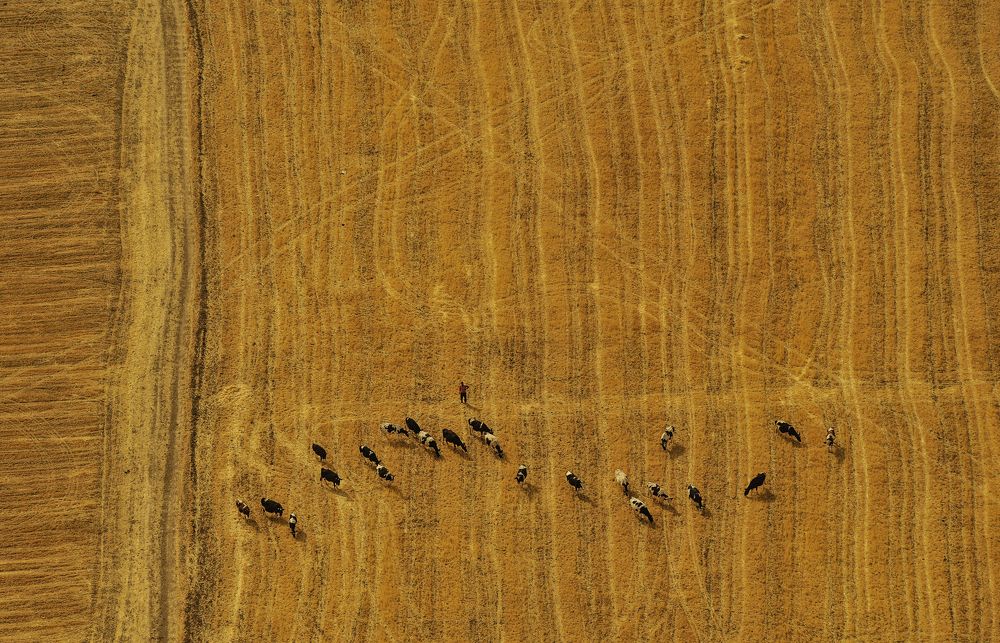 Photograph by Mohamed Kaouche