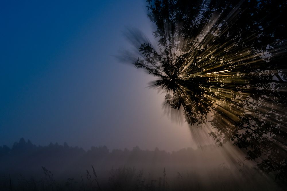 Photograph by Андрей Зуев