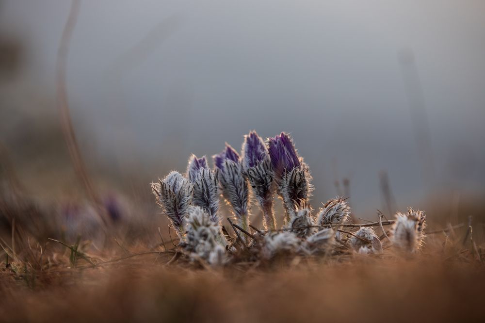 Photograph by Илья Юфа