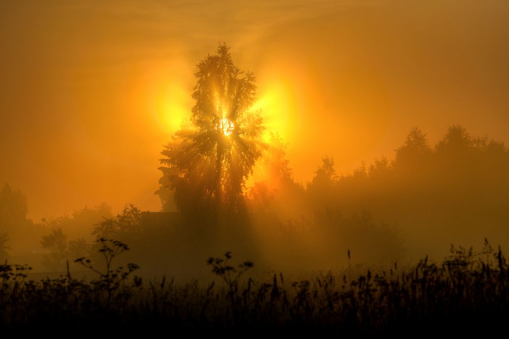 Photograph by Андрей Зуев