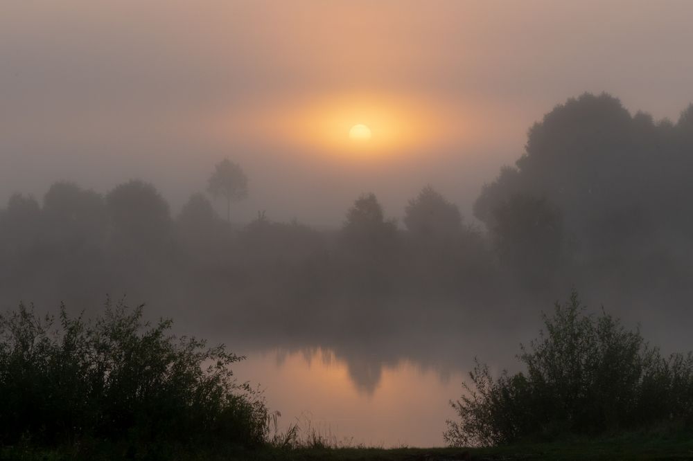 Photograph by Андрей Зуев