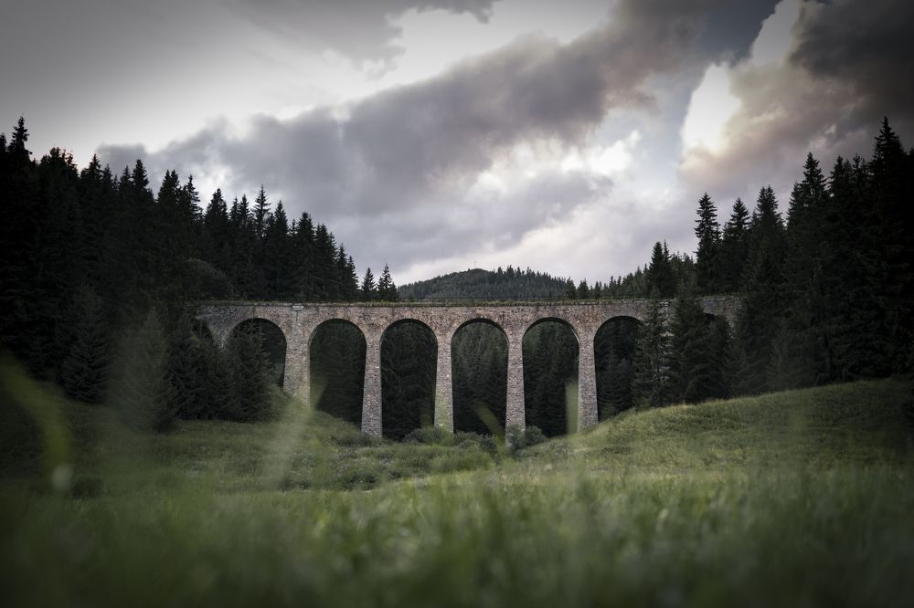 Photograph by Denisa Miazdrová