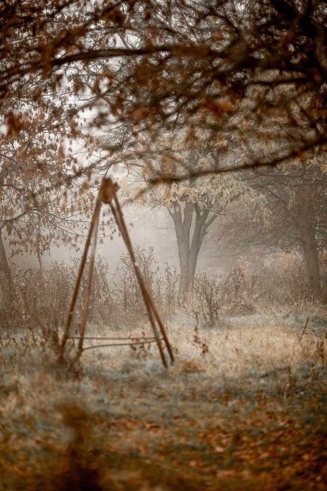 Photograph by Katya Gor