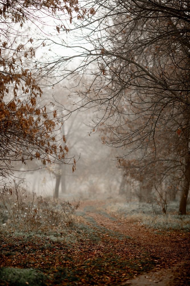 Photograph by Katya Gor