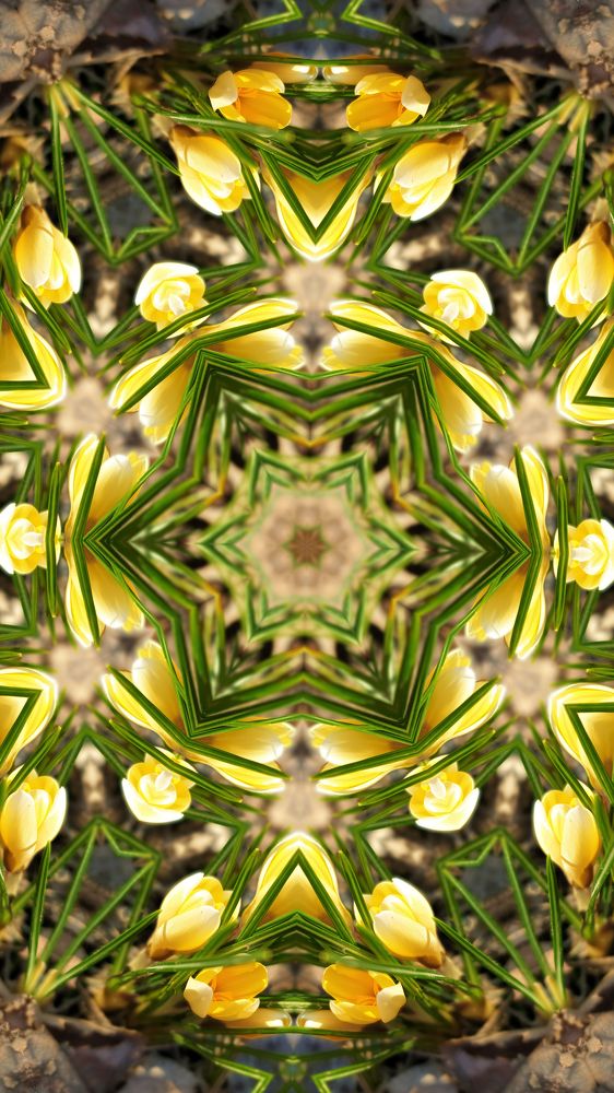 Photograph by Marie G