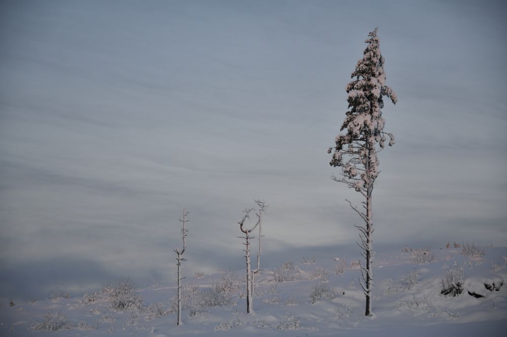 Фотография автора Anna NovaLova