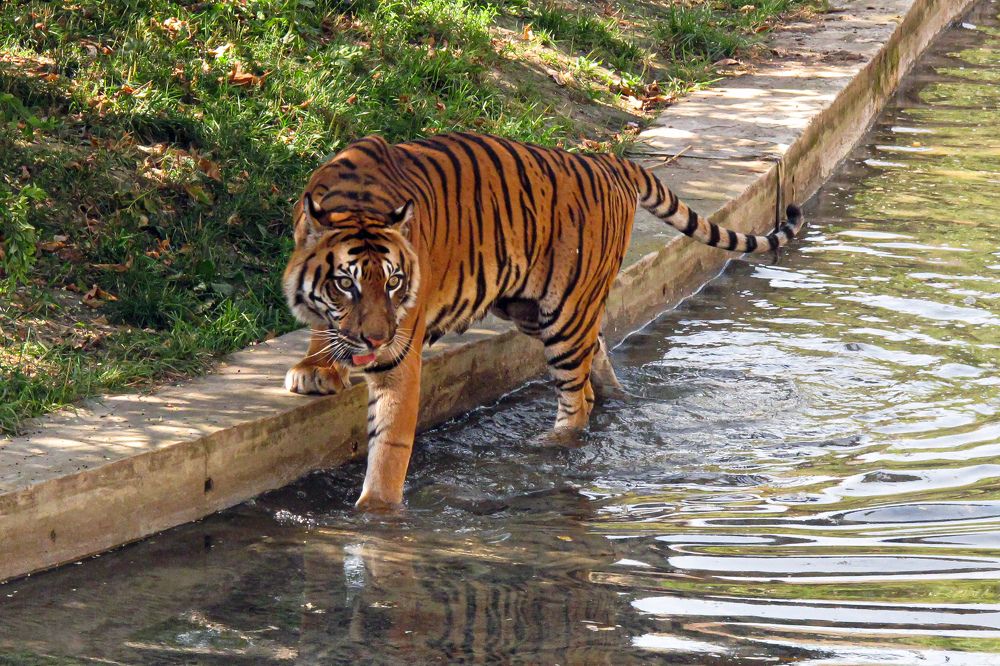 Photograph by Дарья Погонцева