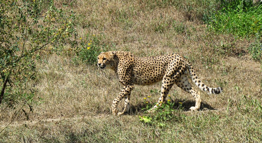Photograph by Дарья Погонцева