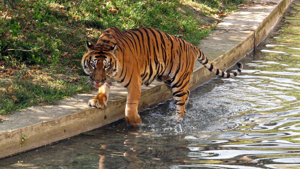 Photograph by Дарья Погонцева