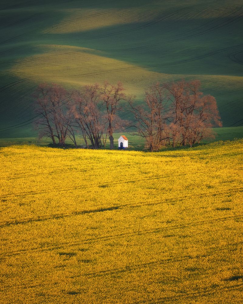 Фотография автора Oleg Rest