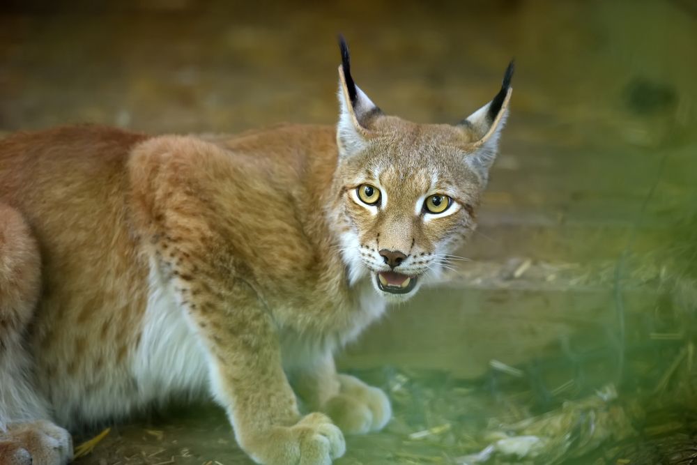 Photograph by Анна Кривицкая