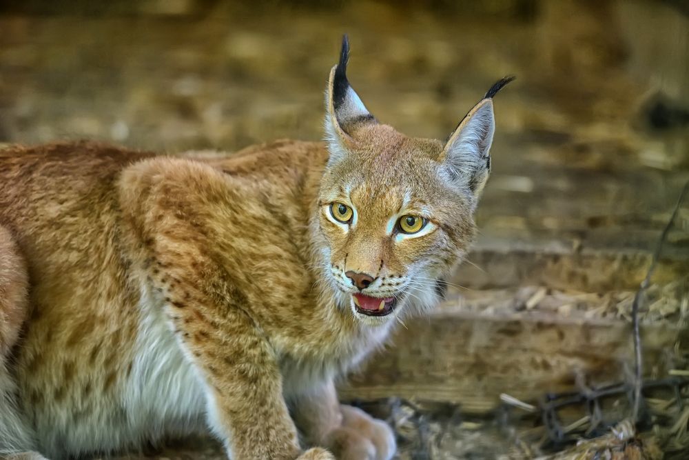 Photograph by Анна Кривицкая