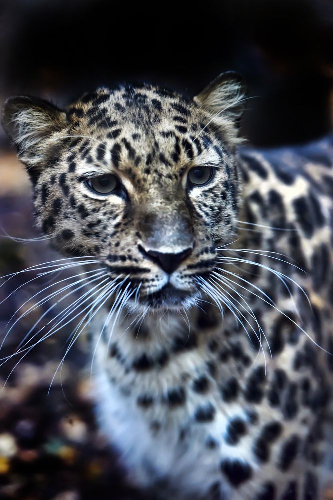 Photograph by Анна Кривицкая