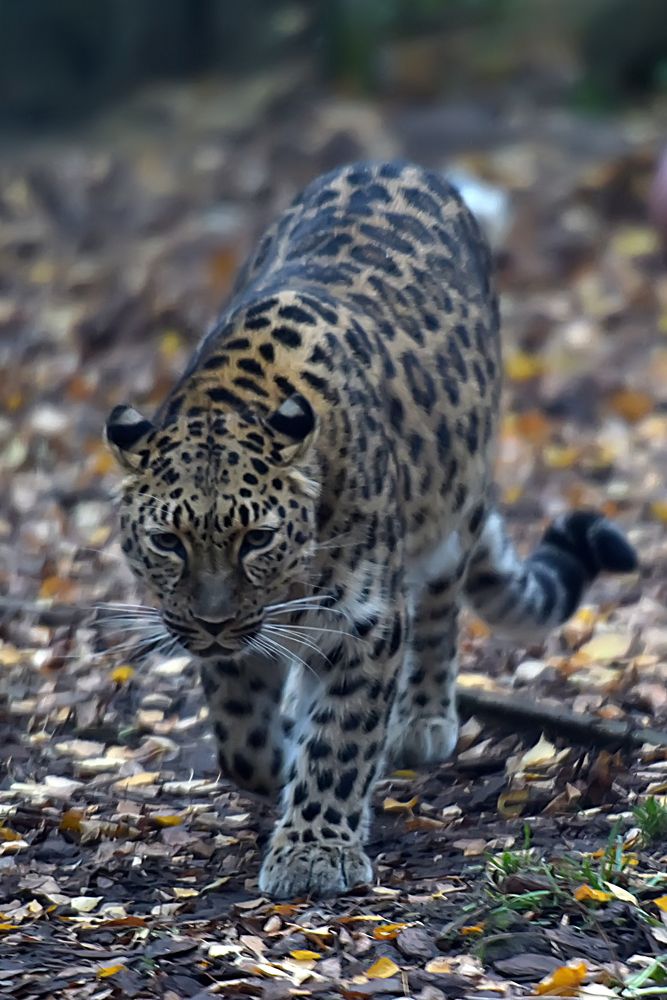 Photograph by Анна Кривицкая