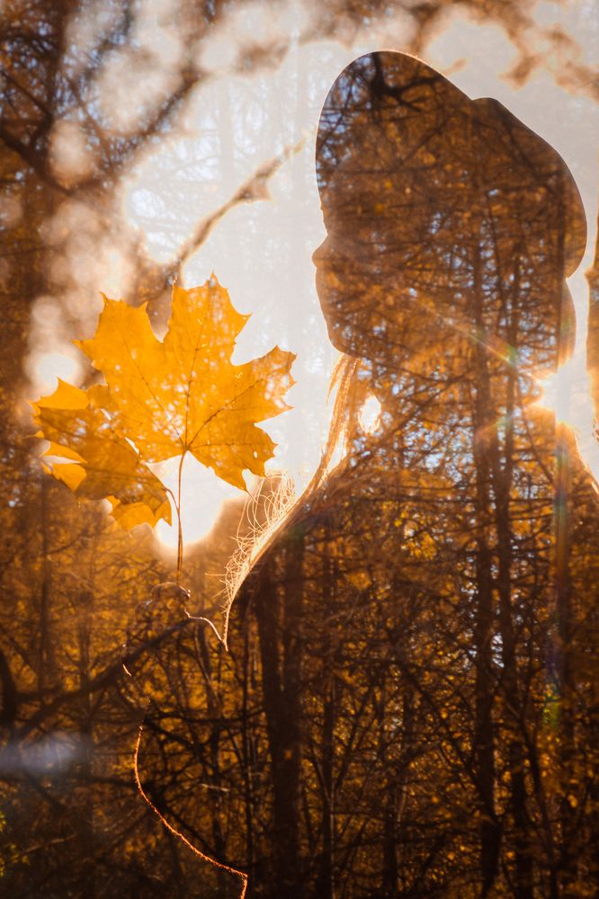 Фотография автора Софья Смирнова