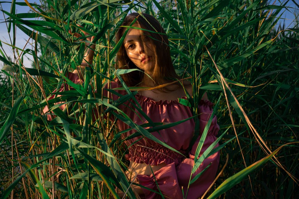 Photograph by Александр Вьюшков