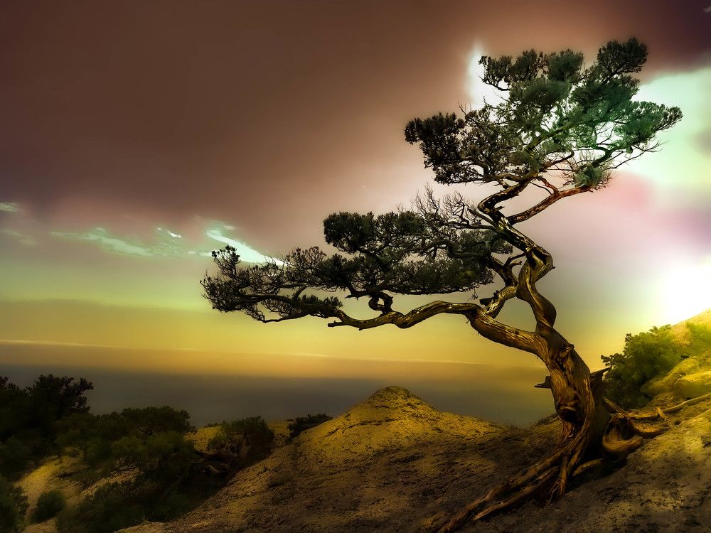 одиночество