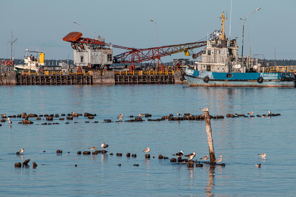 Photograph by Мария