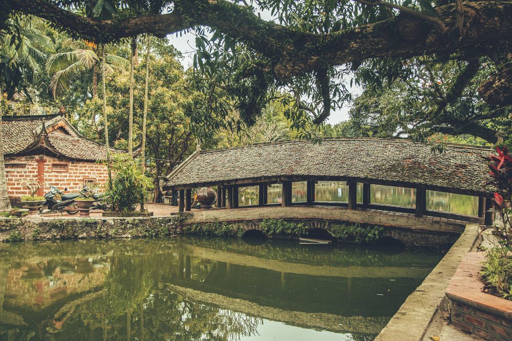 Photograph by Thị Trung Anh Đỗ